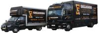 Gallagher’s International Removals